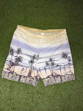 Vintage Speedo Men's Tropical Beach Scene All Over Print Swim Trunks
